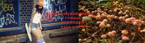 тгк Алексеевка