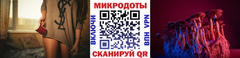 Галлюциногенные грибы Magic Shrooms darknet как зайти Новоалтайск