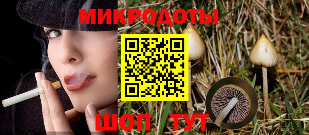 Псилоцибиновые грибы прущие грибы Новоалтайск