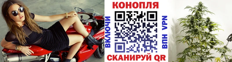 Канабис конопля Новоалтайск